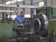 企鵝風采 企鵝風采