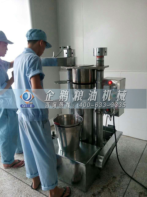 香油生產線 香油生產線