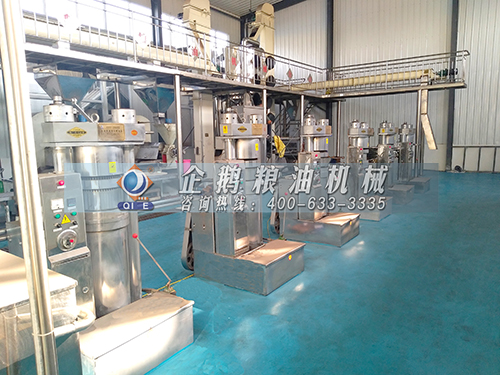 全自動榨油機生產線.jpg